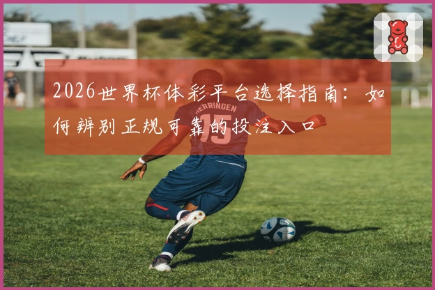 2026世界杯体彩平台选择指南：如何辨别正规可靠的投注入口