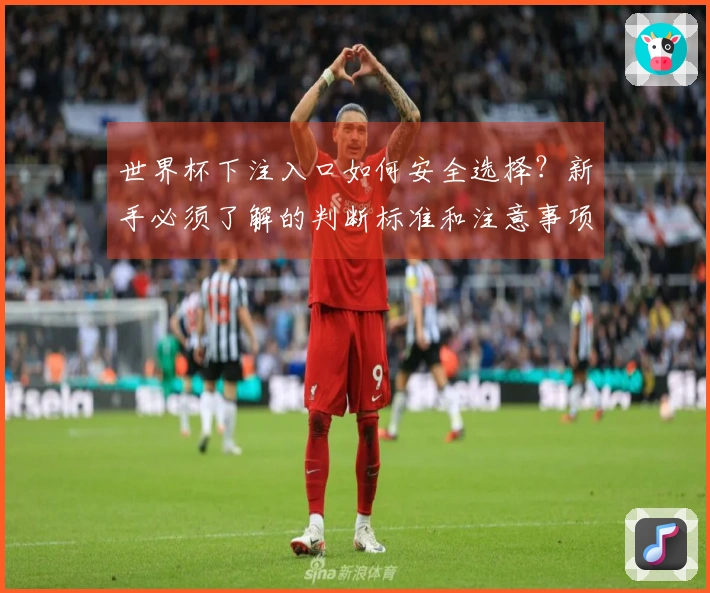 世界杯下注入口如何安全选择？新手必须了解的判断标准和注意事项