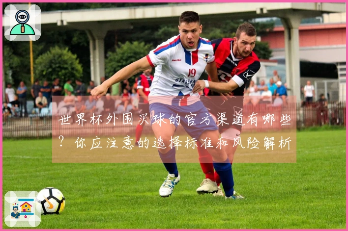 世界杯外围买球的官方渠道有哪些？你应注意的选择标准和风险解析