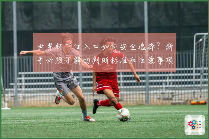世界杯下注入口如何安全选择？新手必须了解的判断标准和注意事项