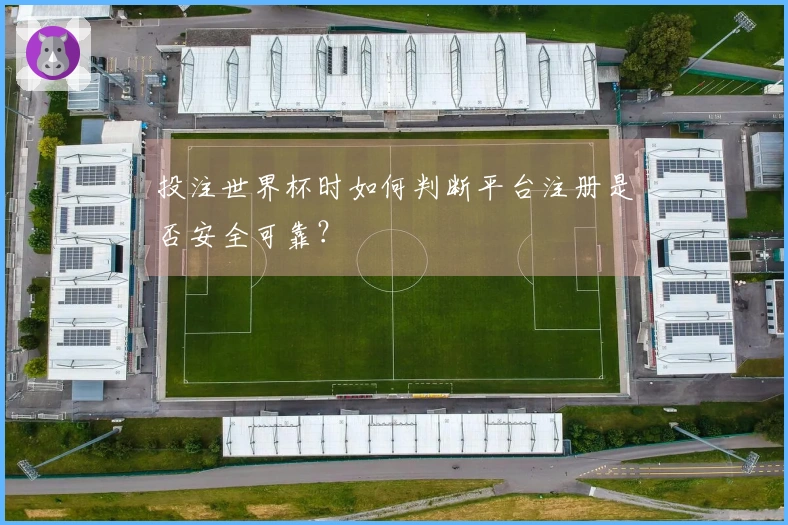投注世界杯时如何判断平台注册是否安全可靠？