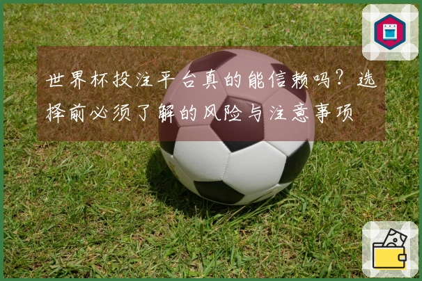 世界杯投注平台真的能信赖吗？选择前必须了解的风险与注意事项